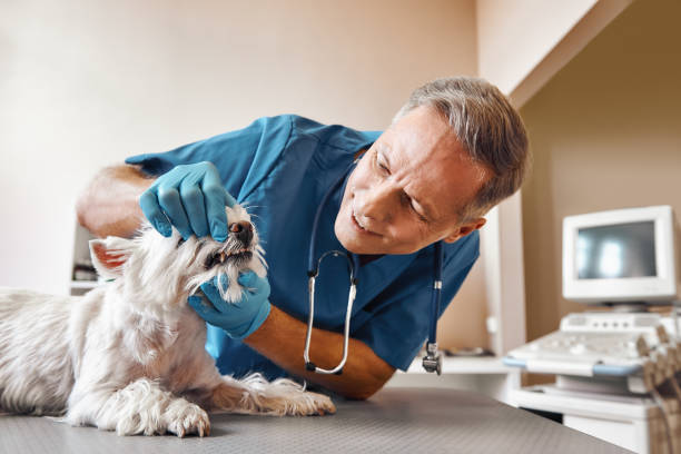 Best Emergency Root Canal Treatment in Fayetteville, NC